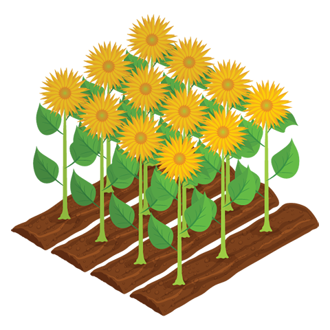 花き類